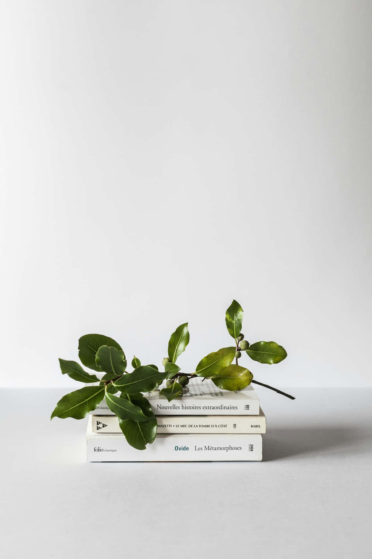 Minimalist Green Booksand Leaves Wallpaper