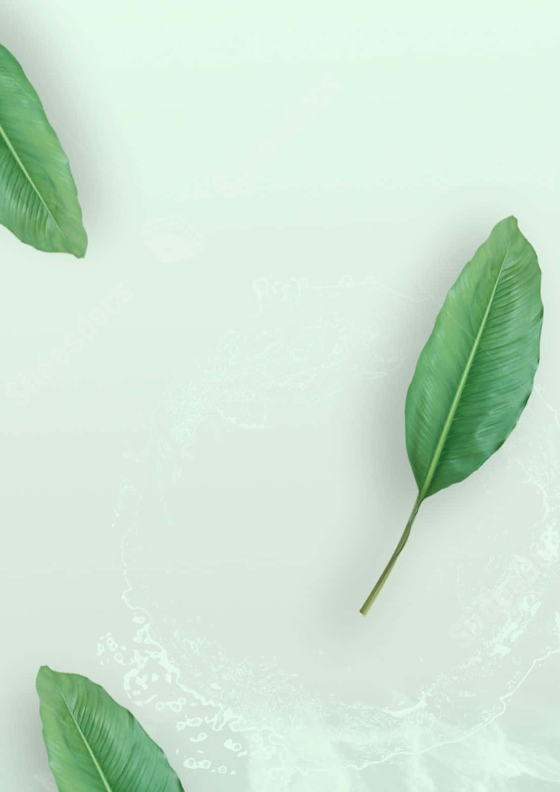 Minimalist Green Leaves Background Wallpaper