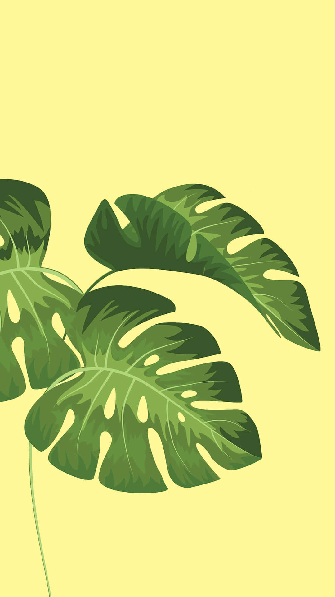 Minimalist Green Monstera Leaves Wallpaper