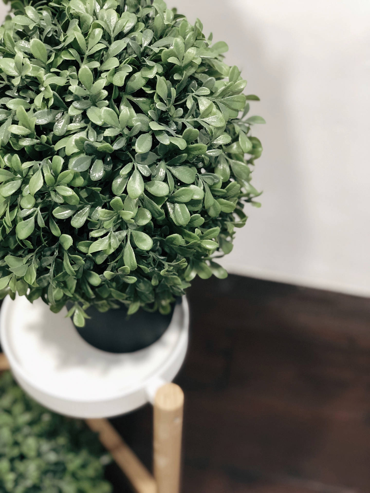 Minimalist Green Small Plant Love Iphone Wallpaper