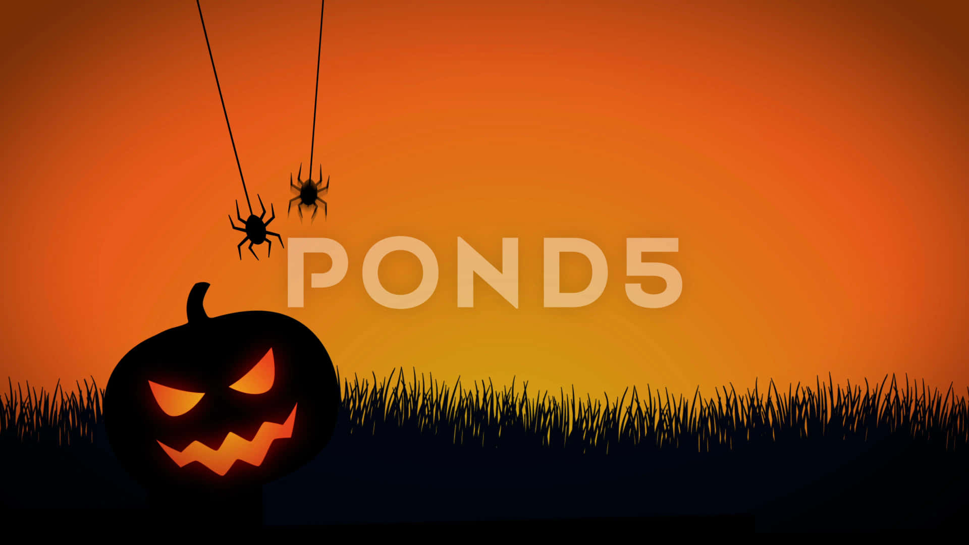 Calabazade Halloween Con Arañas Y Telarañas En El Césped Fondo de pantalla