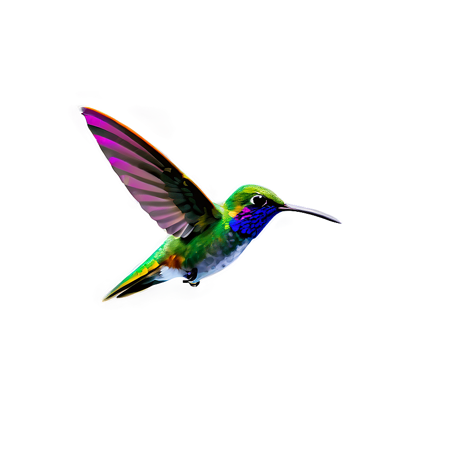 Download Minimalist Hummingbird Png 77 | Wallpapers.com