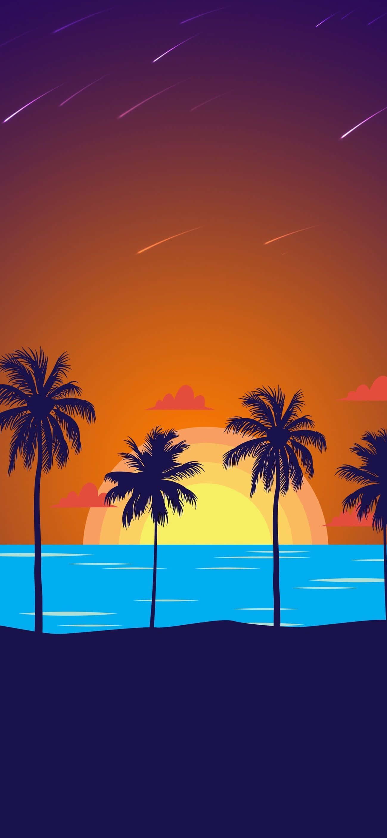 Ensolnedgang Med Palmetræer Og Havet