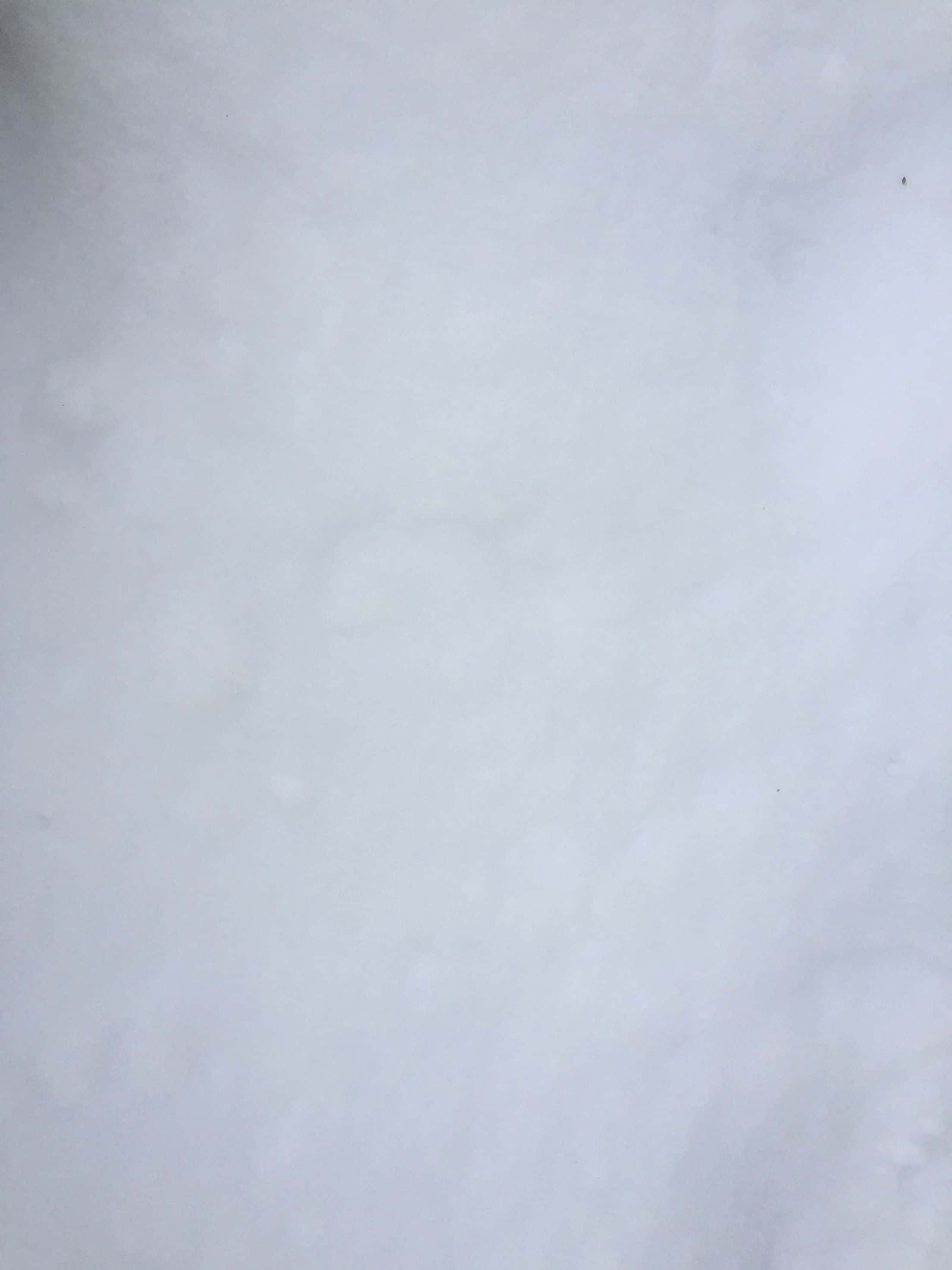 En person står i sneen med et ski stang