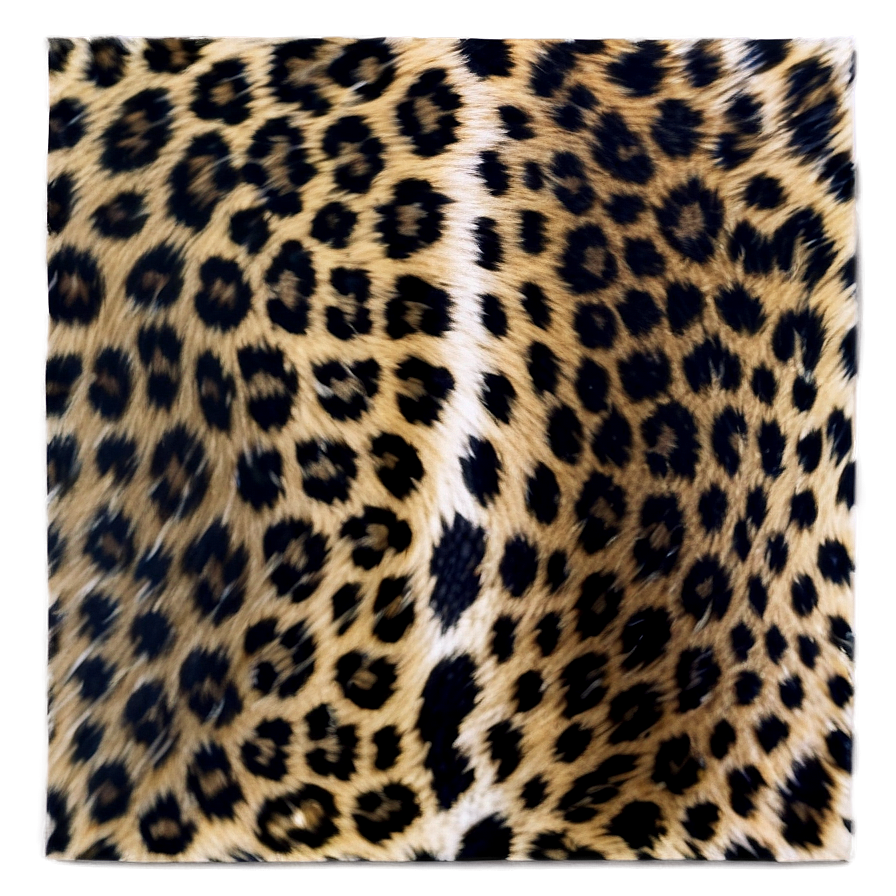 Minimalist Leopard Print Png 06252024 PNG