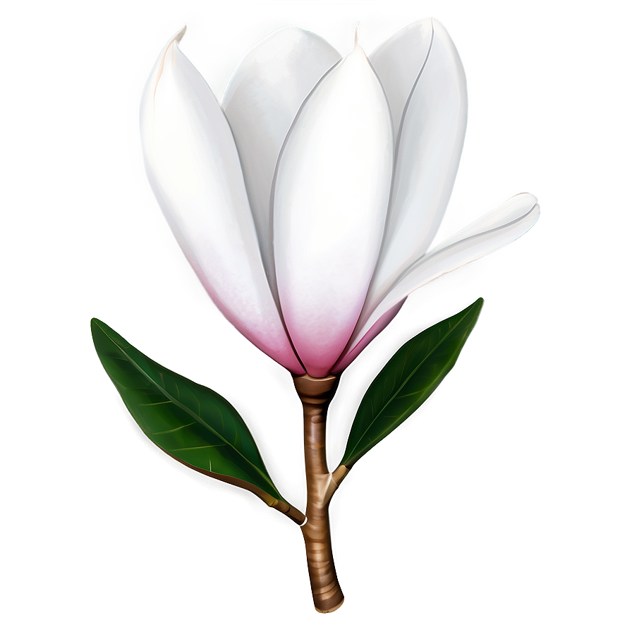 Minimalist Magnolia Flower Png Liv PNG