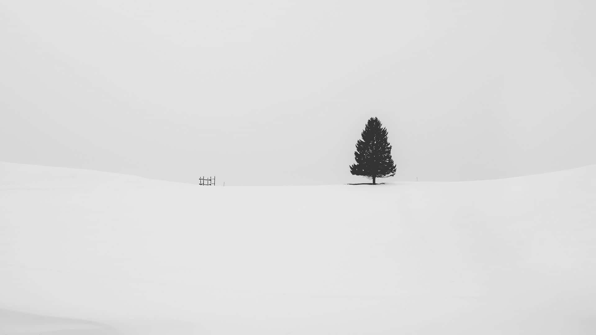 Elegant Minimalist Monochrome Aesthetic Wallpaper