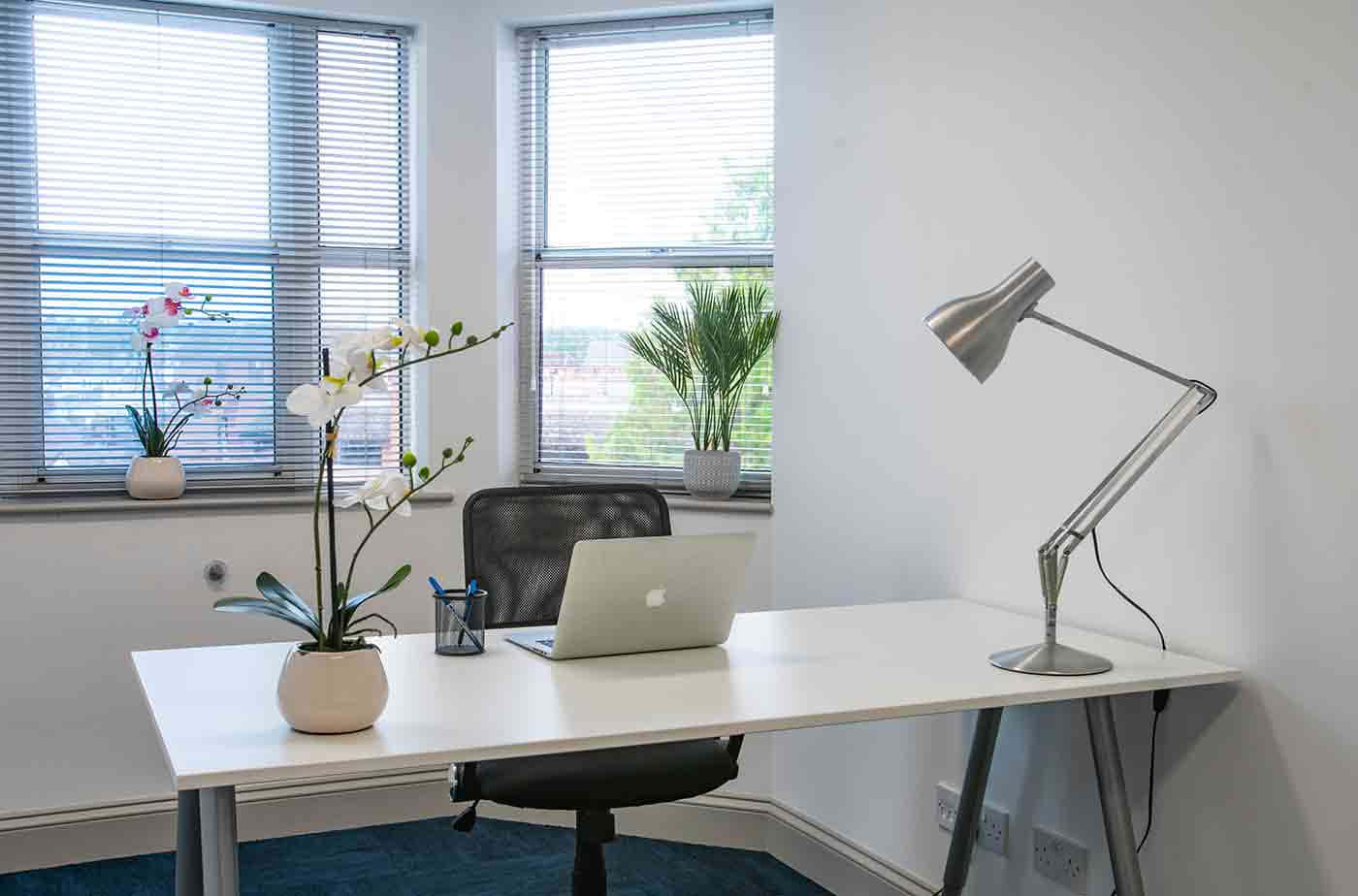 Minimalist Office Setupwith Plantsand Laptop Wallpaper