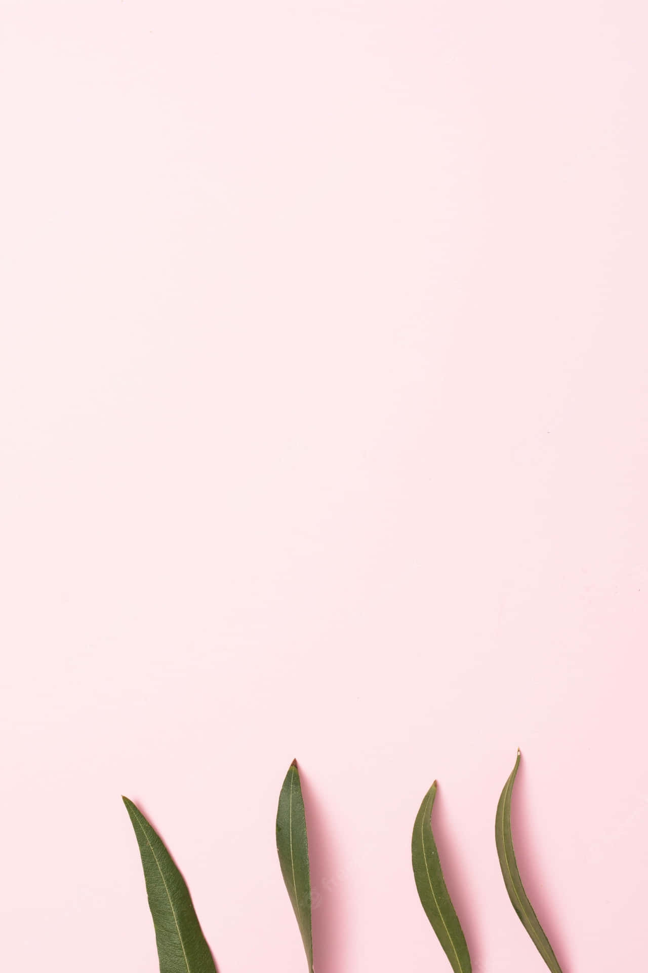 Einminimalistisches Bild Mit Leuchtenden Pinktönen Wallpaper