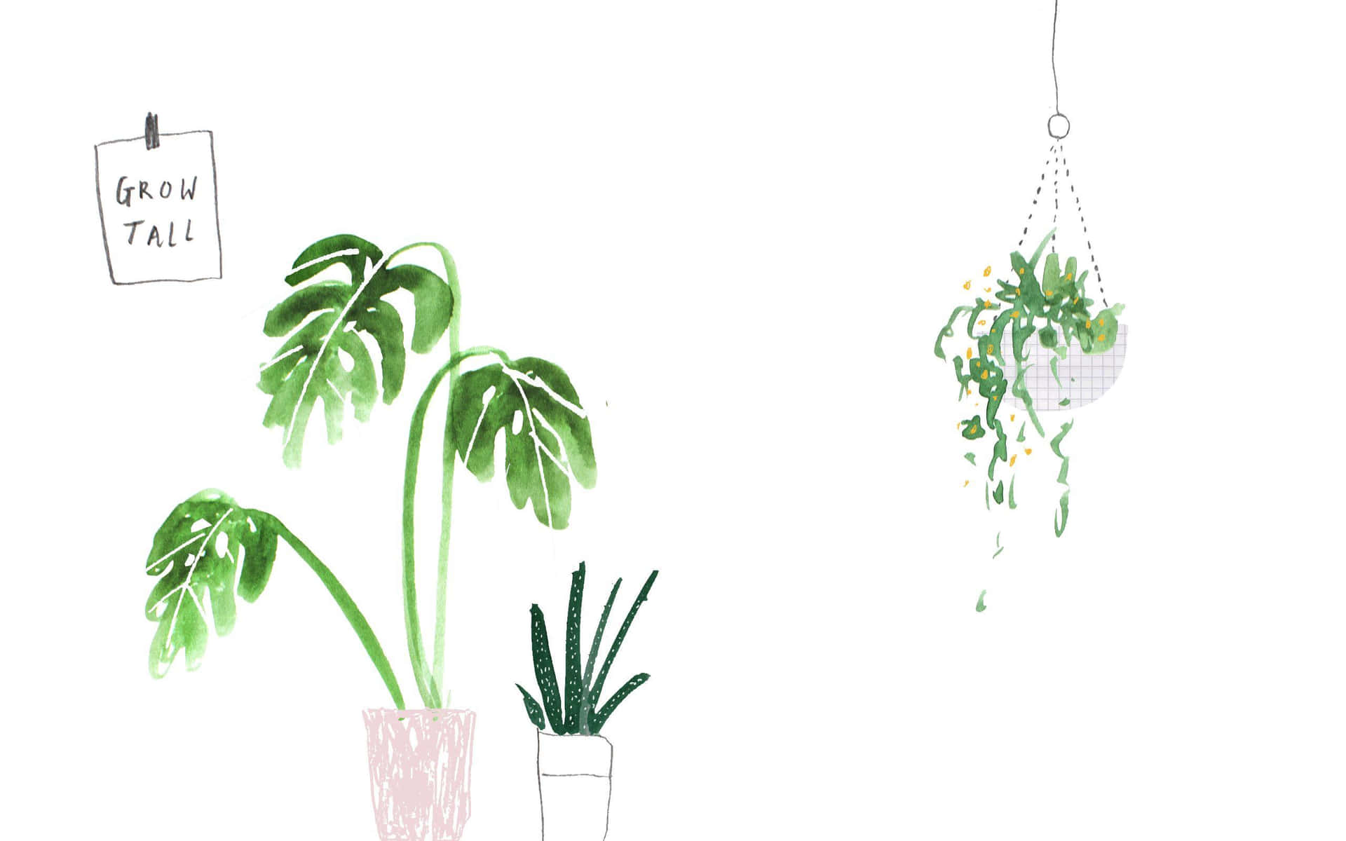 A Drawing Of A Hanging Plant And A Potted Plant