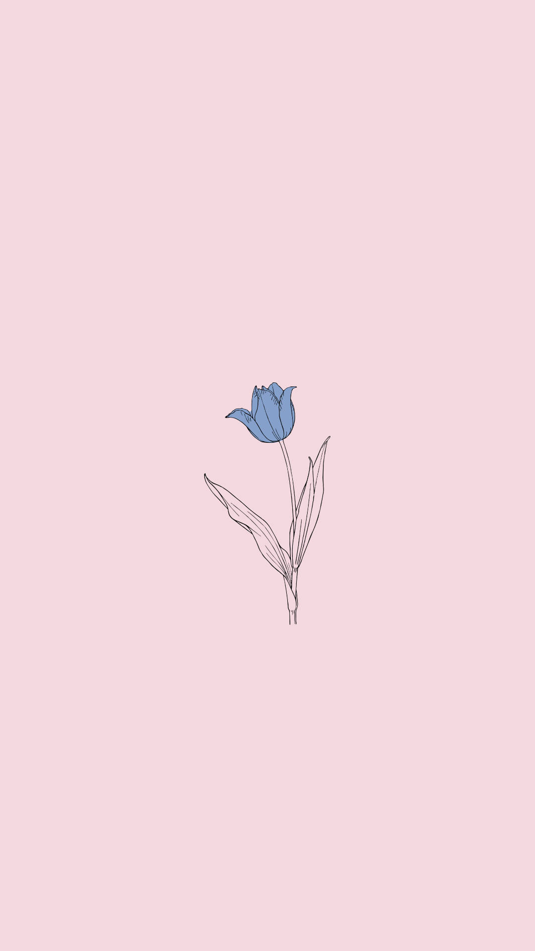 Minimalist Plant Blue Drawing Wallpaper