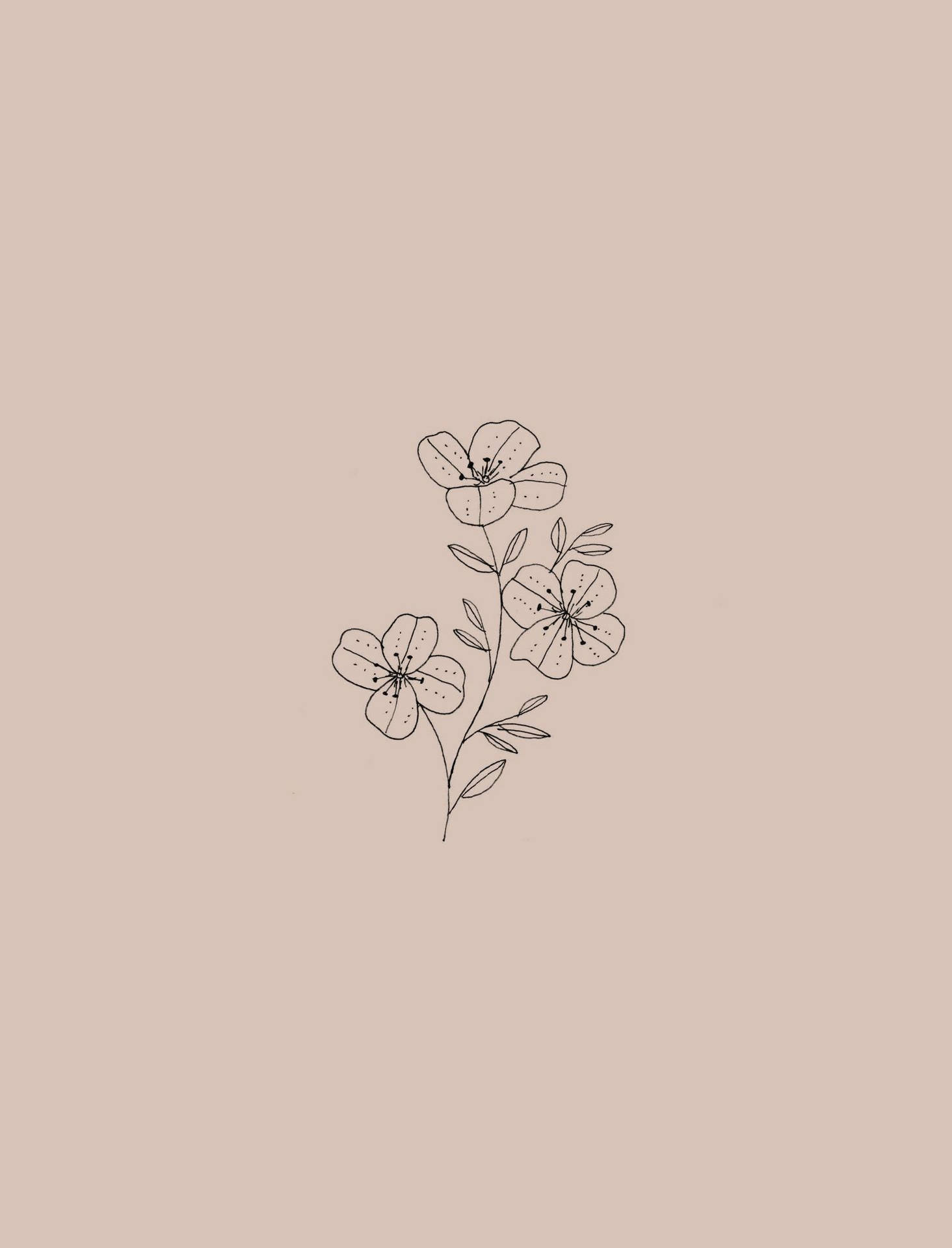 Minimalist Plant Brown Drawing Wallpaper