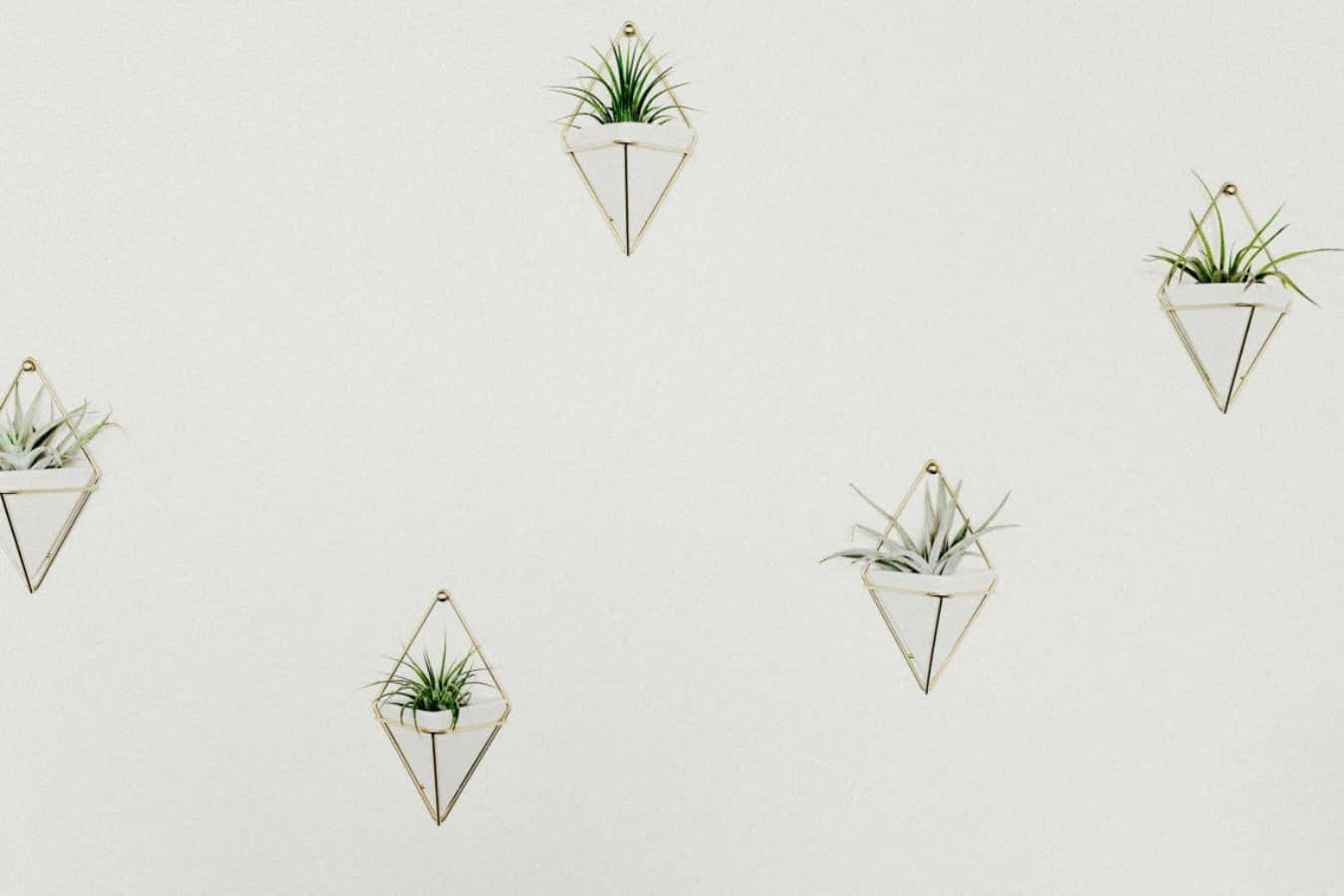 Ästhetischeskandinavische Minimalistische Pflanzen-schreibtischhintergrund Wallpaper