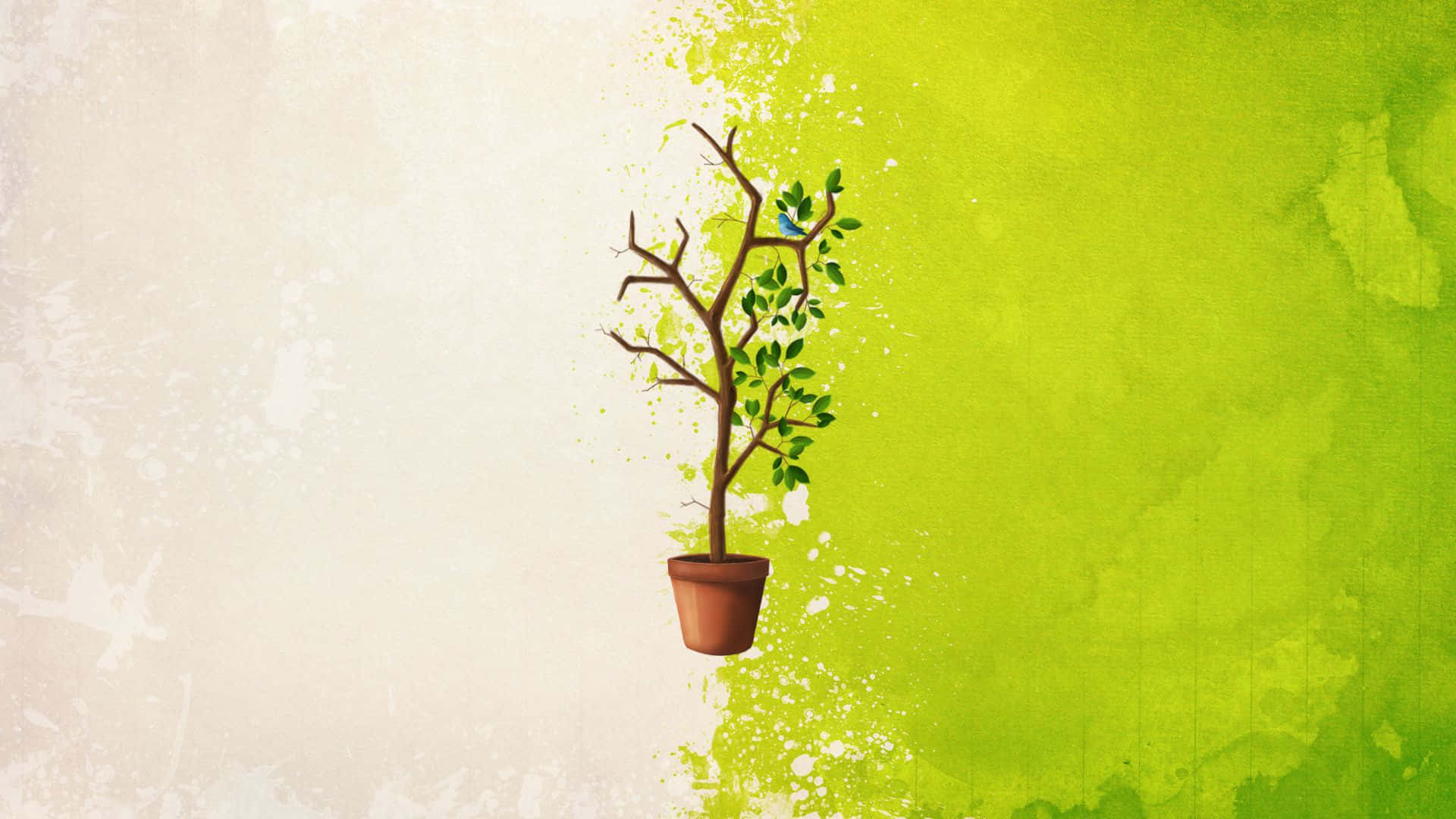 Kontrastierendesminimalistisches Pflanzen-desktop-hintergrundbild Wallpaper