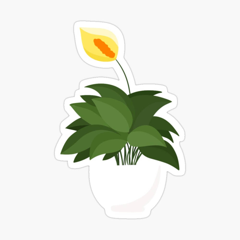 Minimalist Plant Tulip Drawing Wallpaper