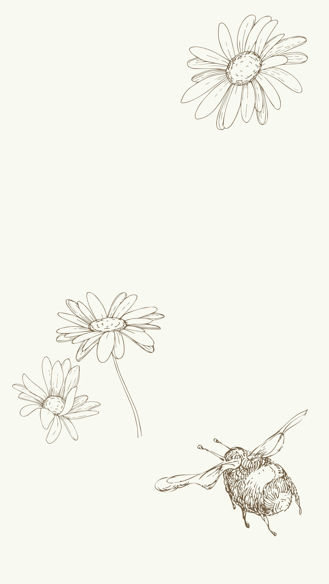 Minimalist Plant With Bee Drawing Wallpaper