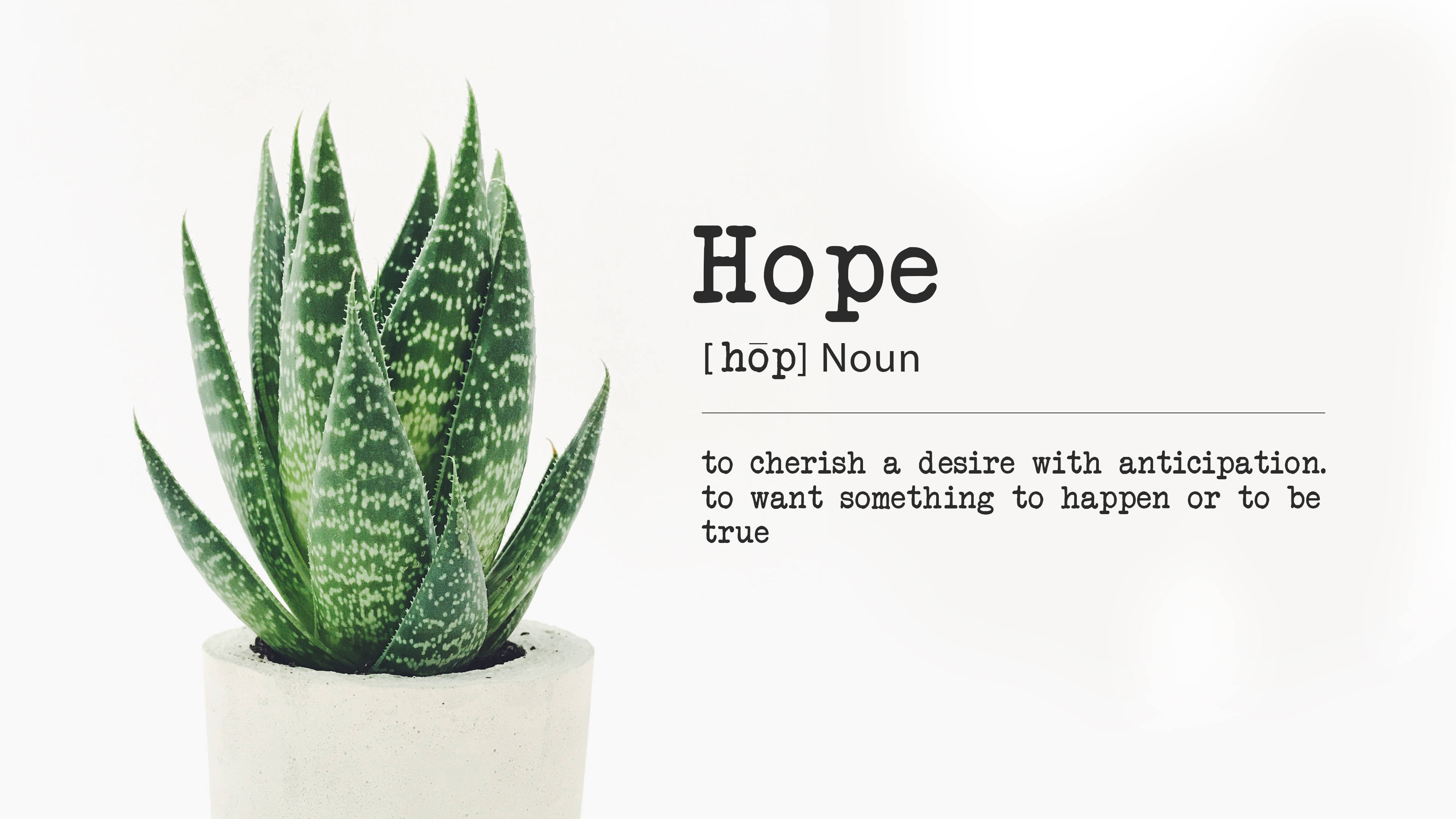 Minimalist Plant With Hope Quote Wallpaper