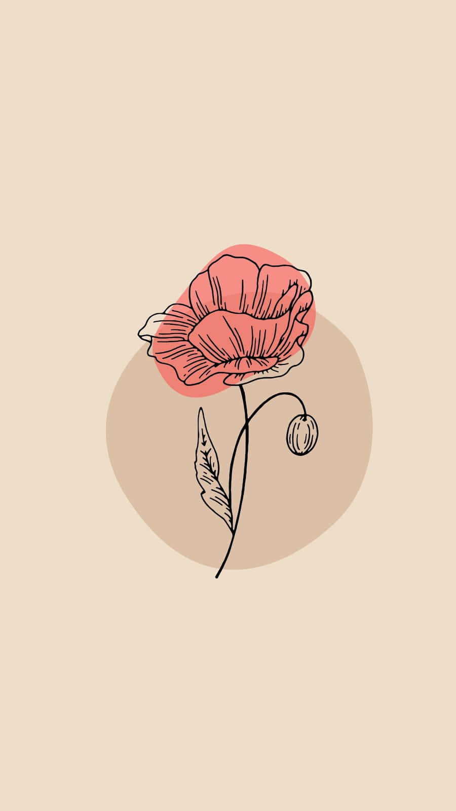 Minimalist Poppy Flower Illustration Wallpaper