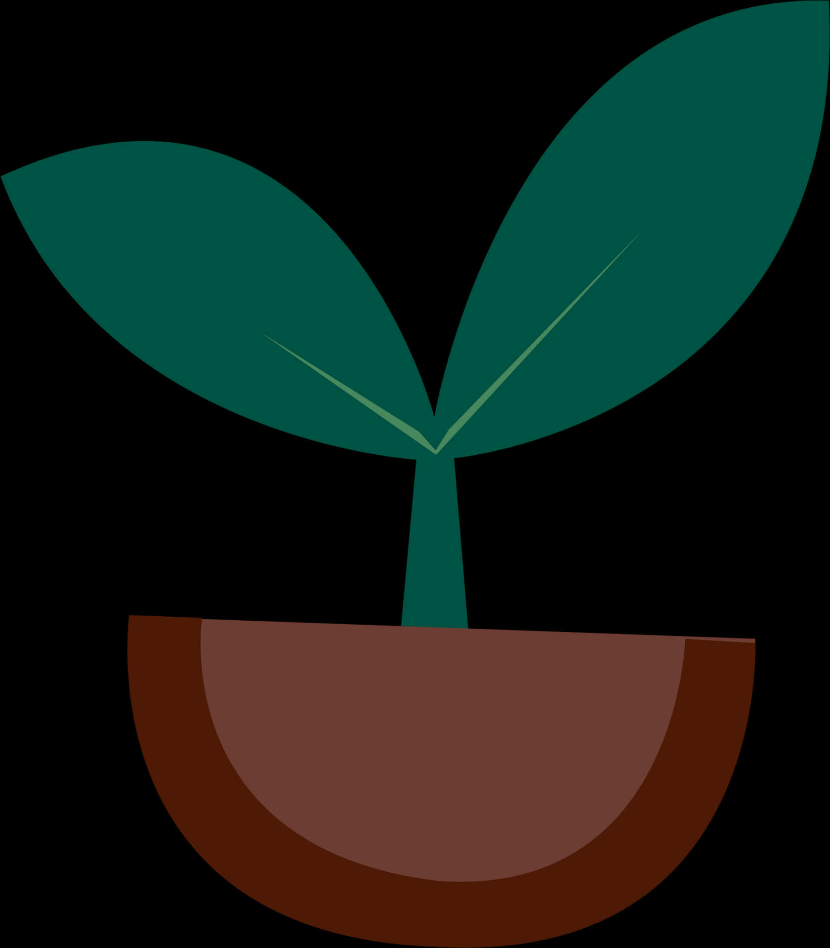 Minimalist Potted Plant Illustration PNG