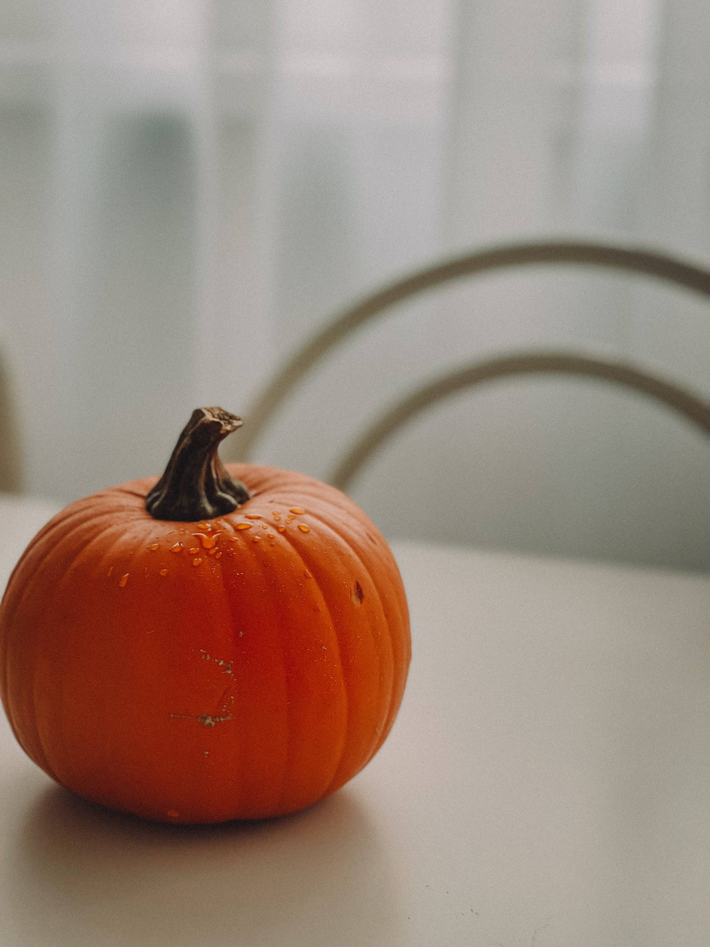 Minimalist Pumpkin Aesthetic Photography