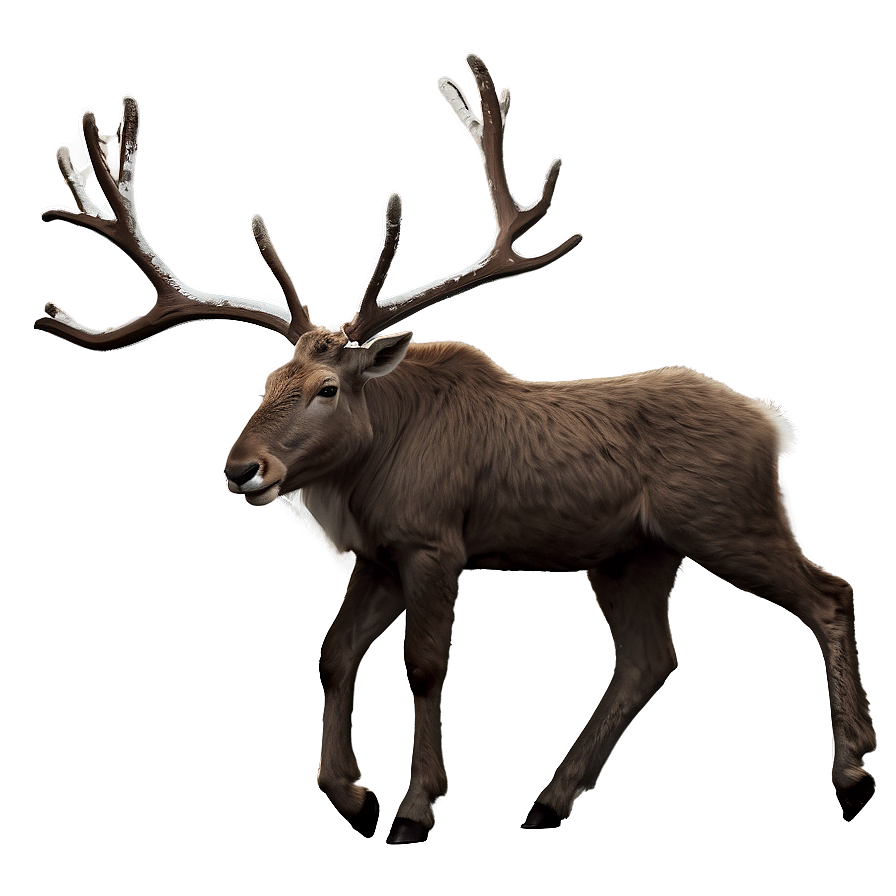 Download Minimalist Reindeer Png Wet | Wallpapers.com