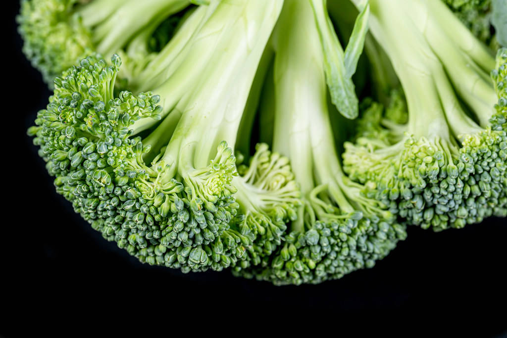 Minimalist Reversed Broccoli