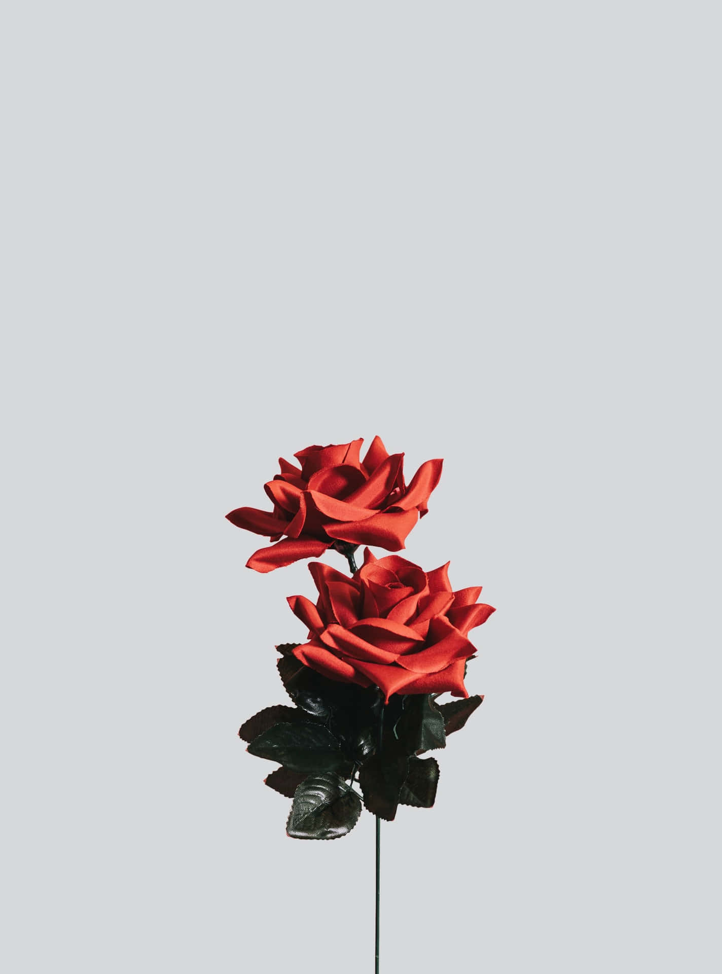 Minimalist Roses Picture