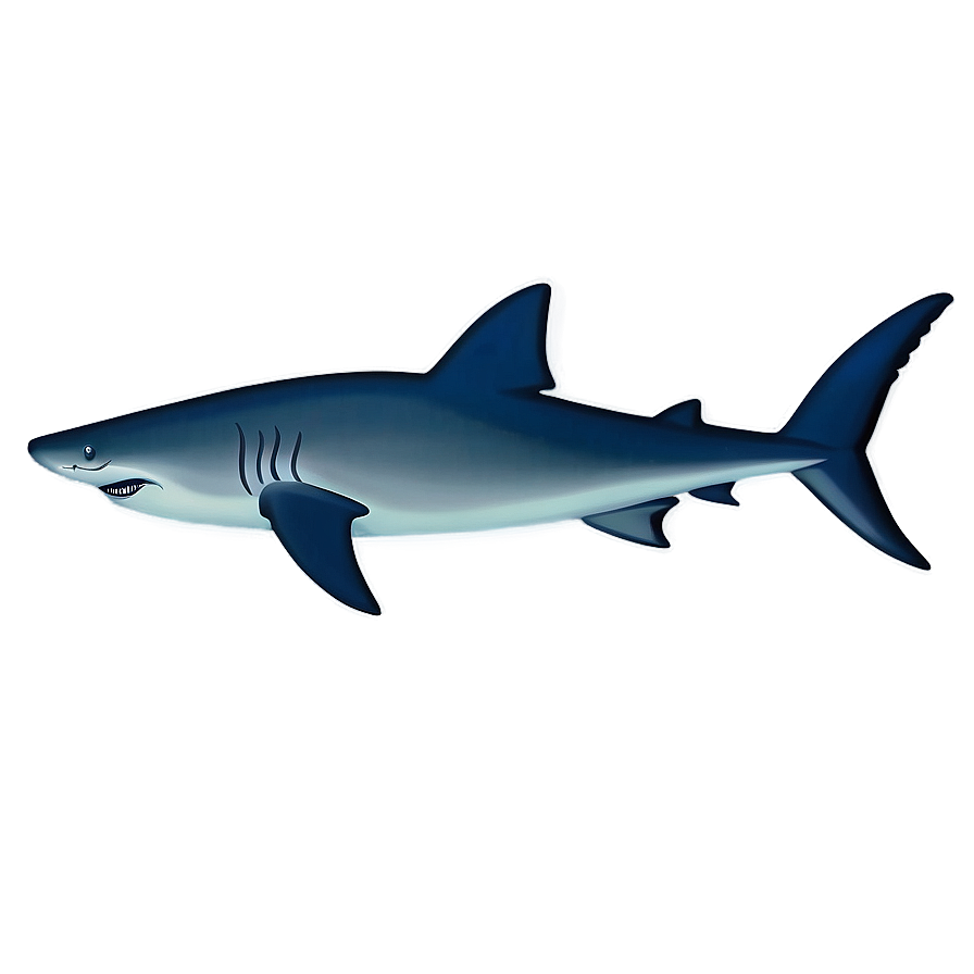 Minimalist Shark Design Png 05032024 PNG