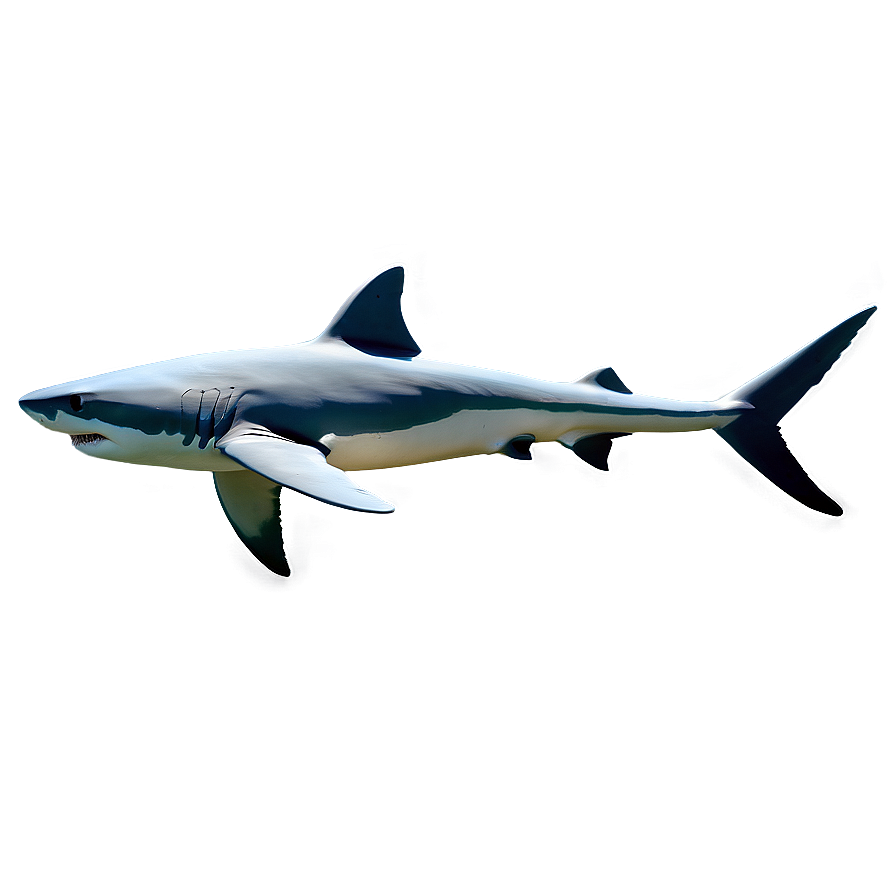 Minimalist Shark Design Png 31 PNG