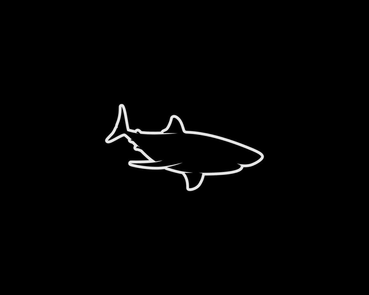 Minimalist_ Shark_ Outline_ Art Wallpaper