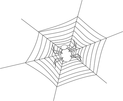 Minimalist Spider Graphic PNG