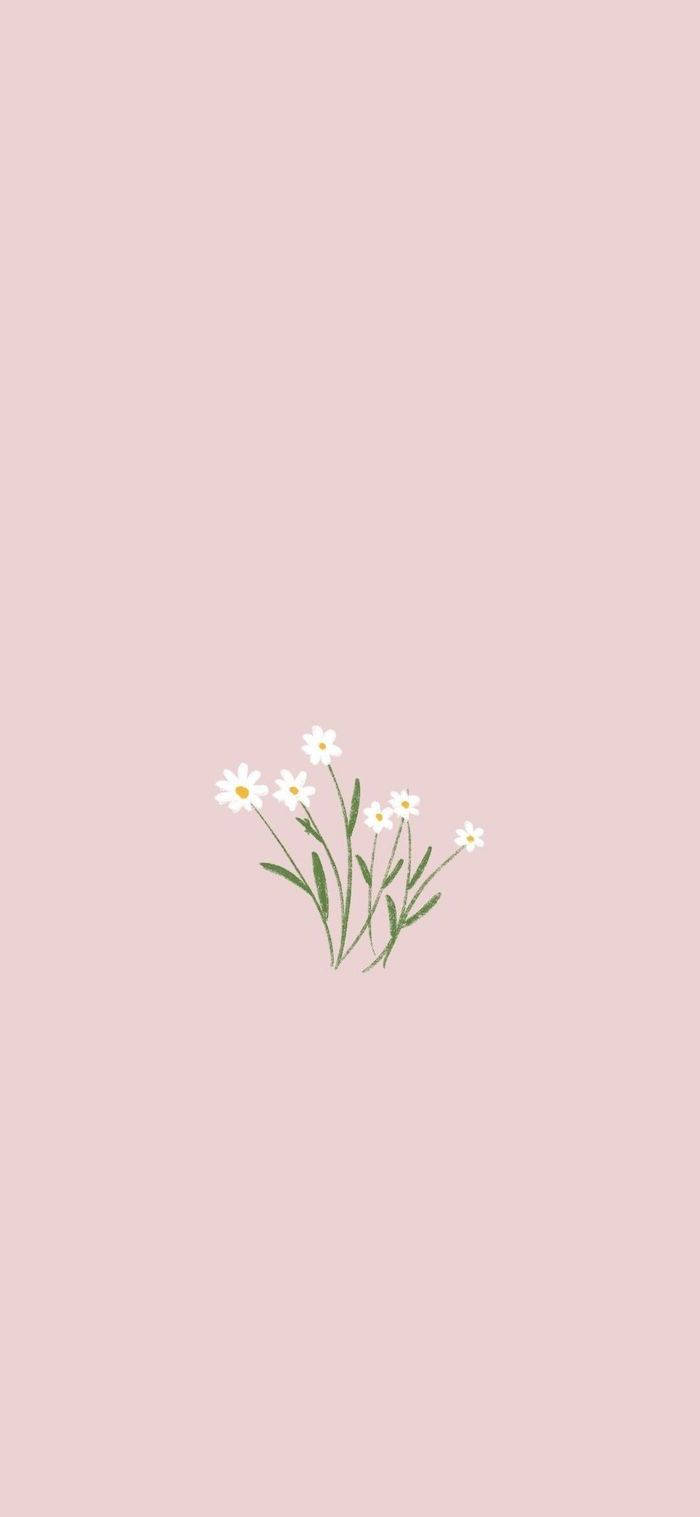 A View of Minimalist Spring Wallpaper