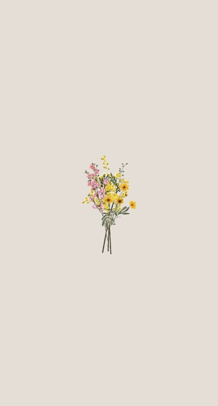 Nyd øjeblikket under foråret med et minimalistisk baggrund med farvestrålende blomster. Wallpaper