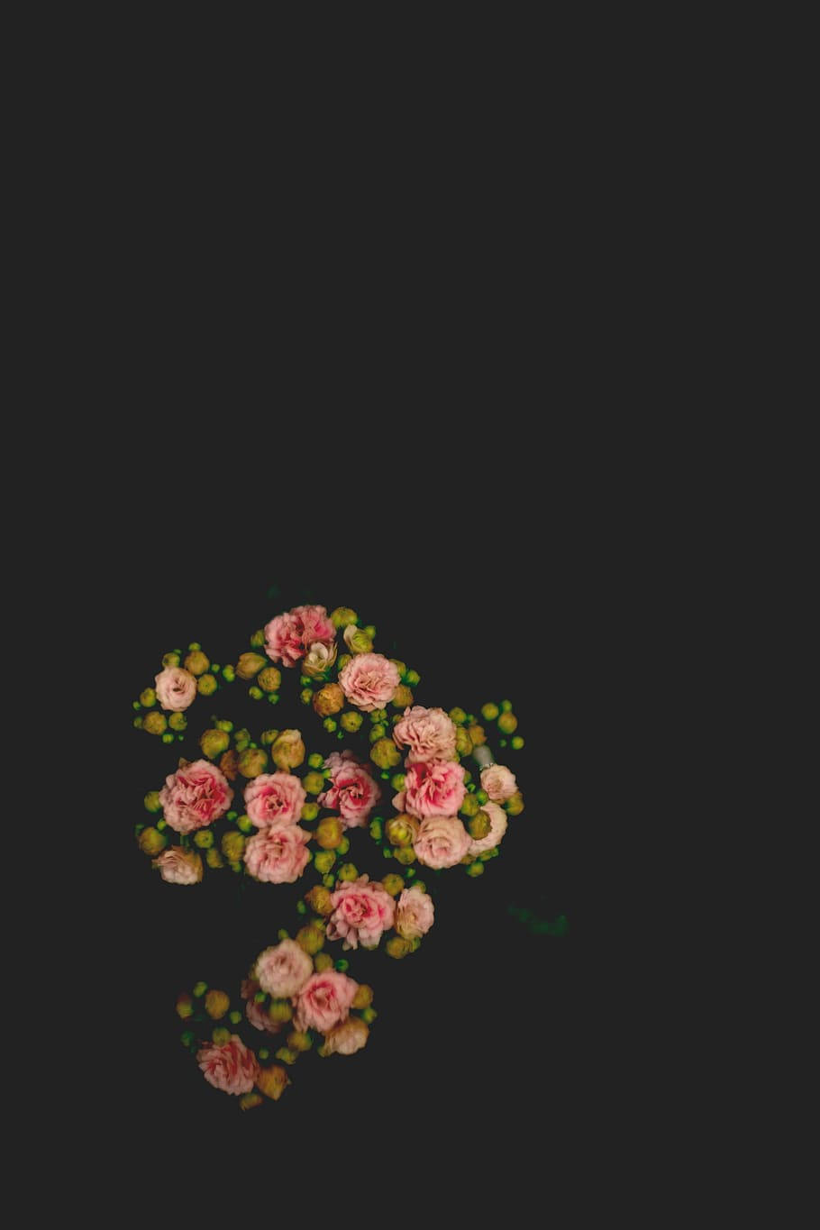 Embrace the Joy of Spring with a Minimalist Aesthetic Wallpaper