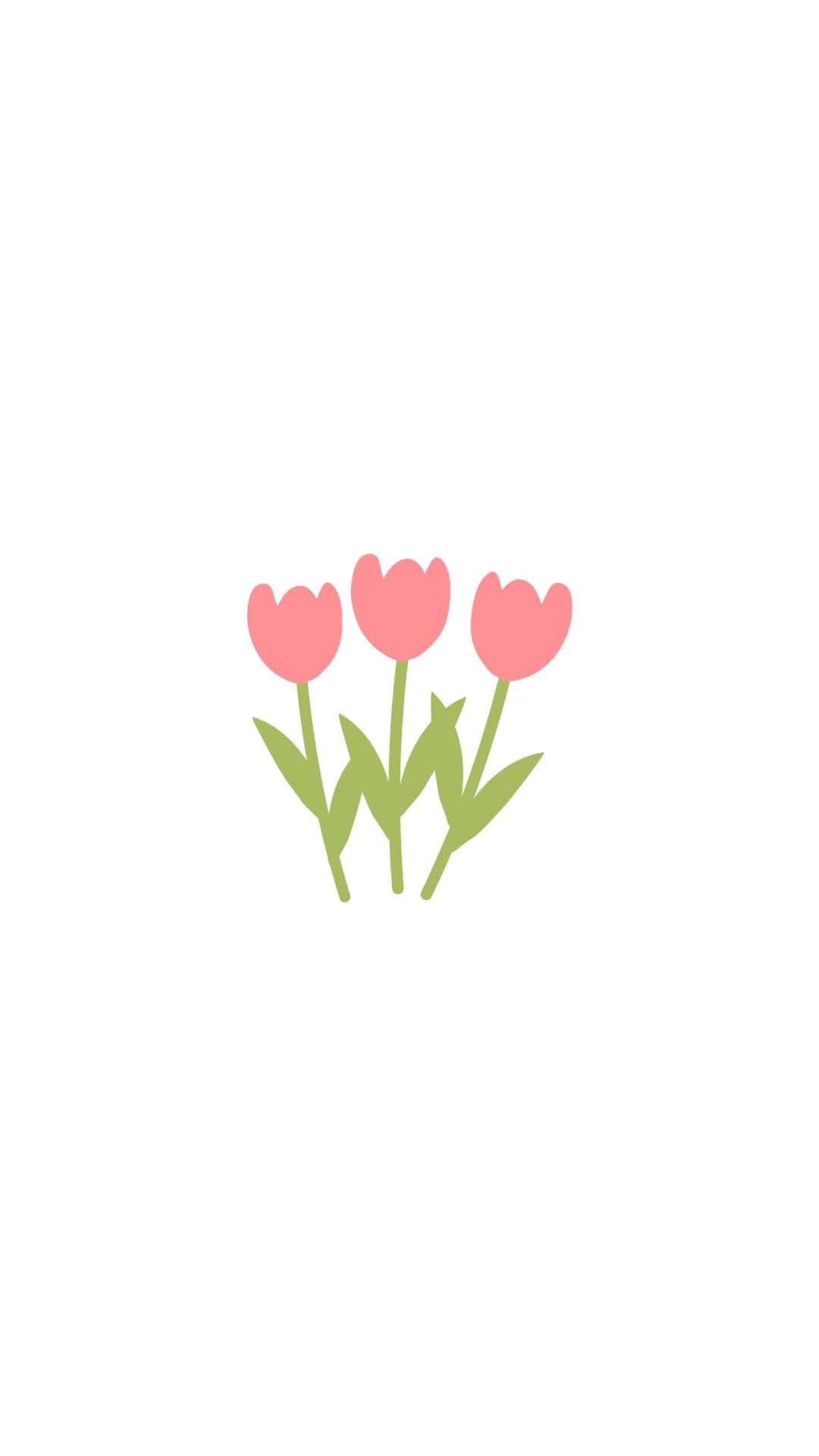 Minimalist Spring Tulips Wallpaper