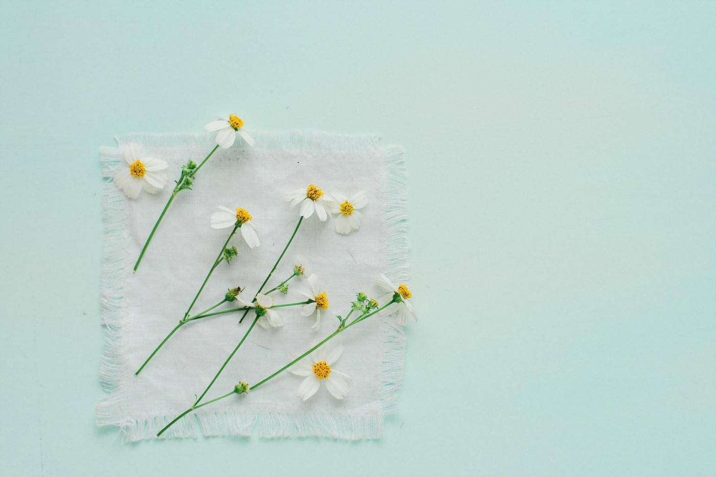 Embrace the freshness of spring with a minimalist approach Wallpaper