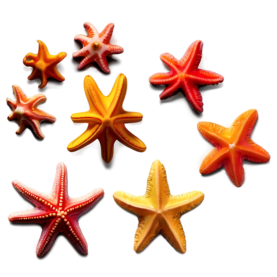 Download Minimalist Starfish Png Ocl3 | Wallpapers.com