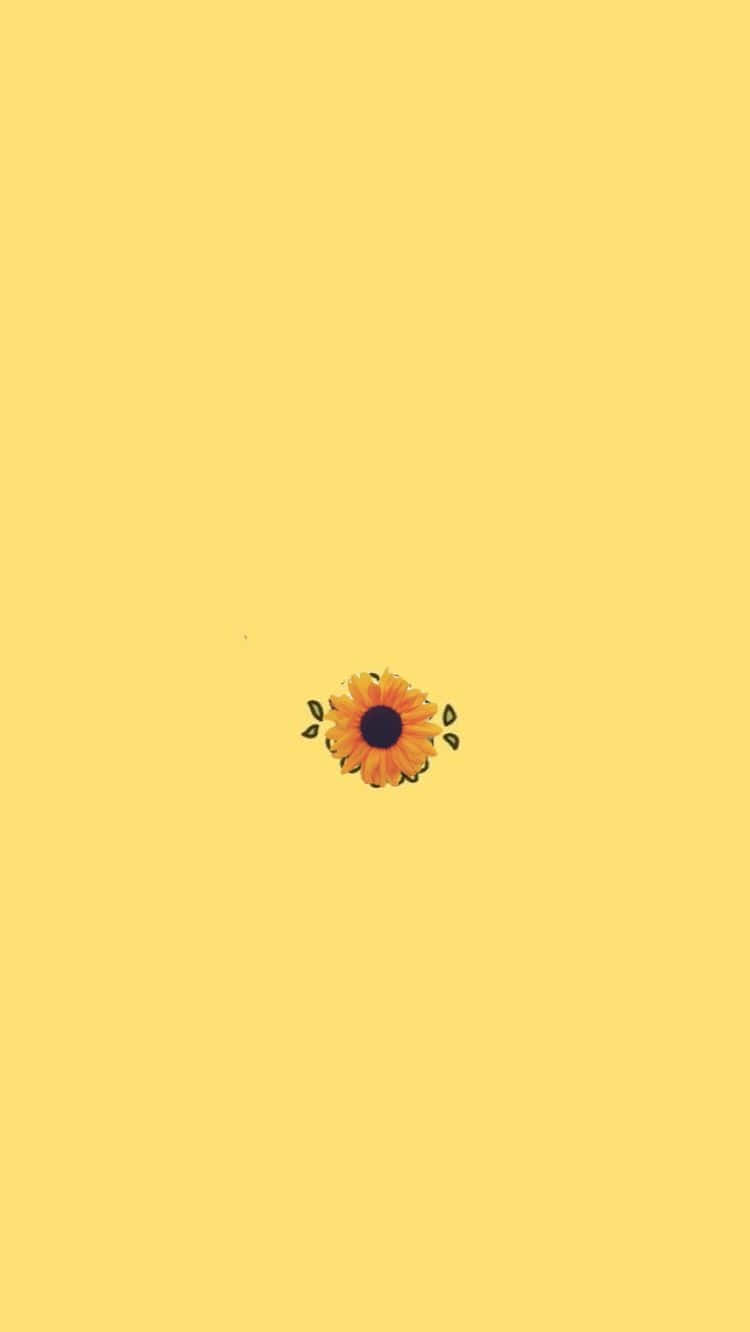 Minimalist Sunflower Cute Pastel Yellow Wallpaper