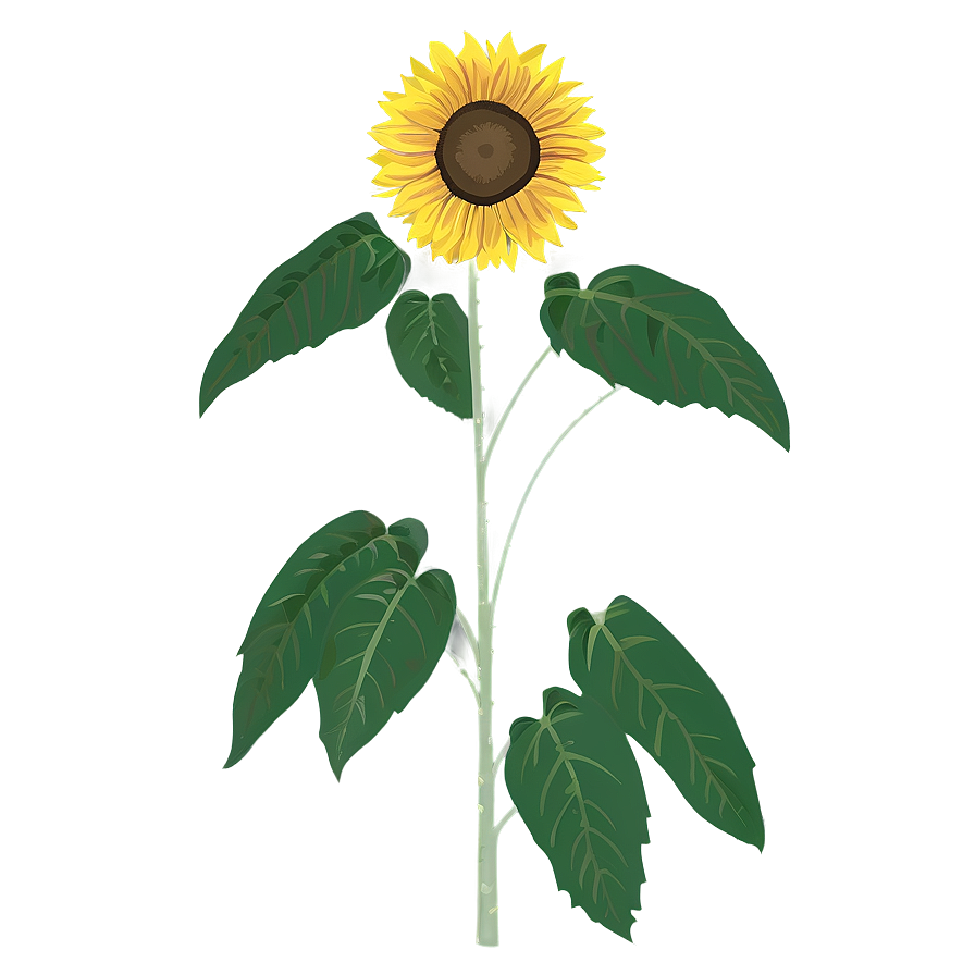 Minimalist Sunflower Png Ecj15 PNG