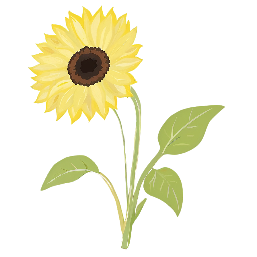 Minimalist Sunflower Png Npt PNG