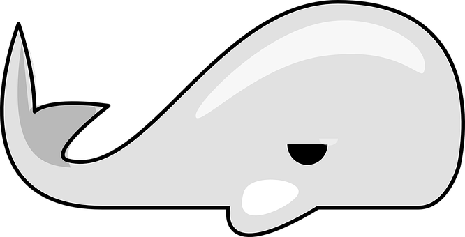 Minimalist Whale Graphic PNG