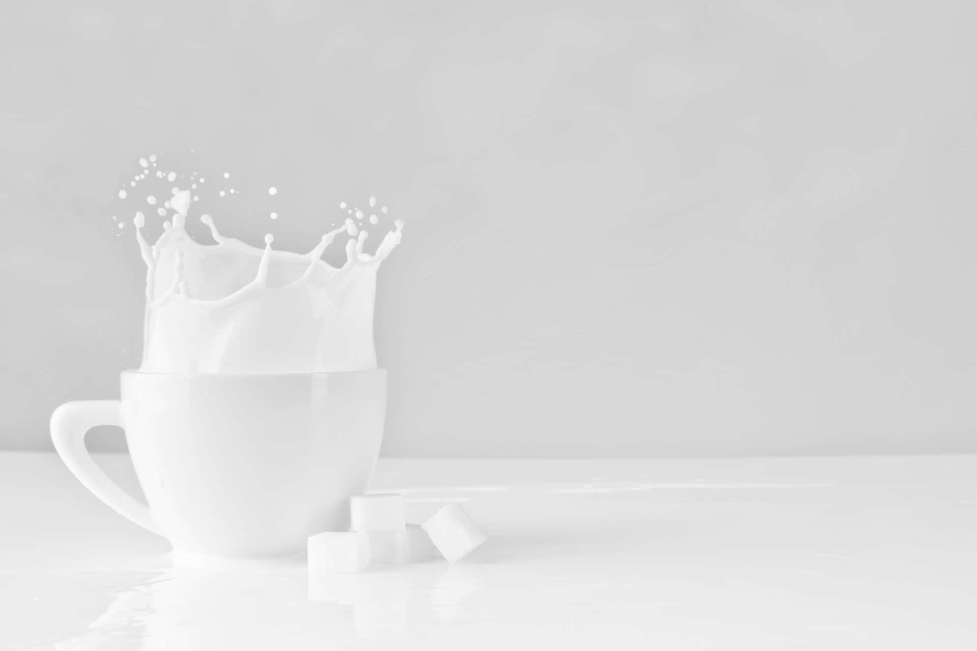 Minimalist White Milk Splash Wallpaper