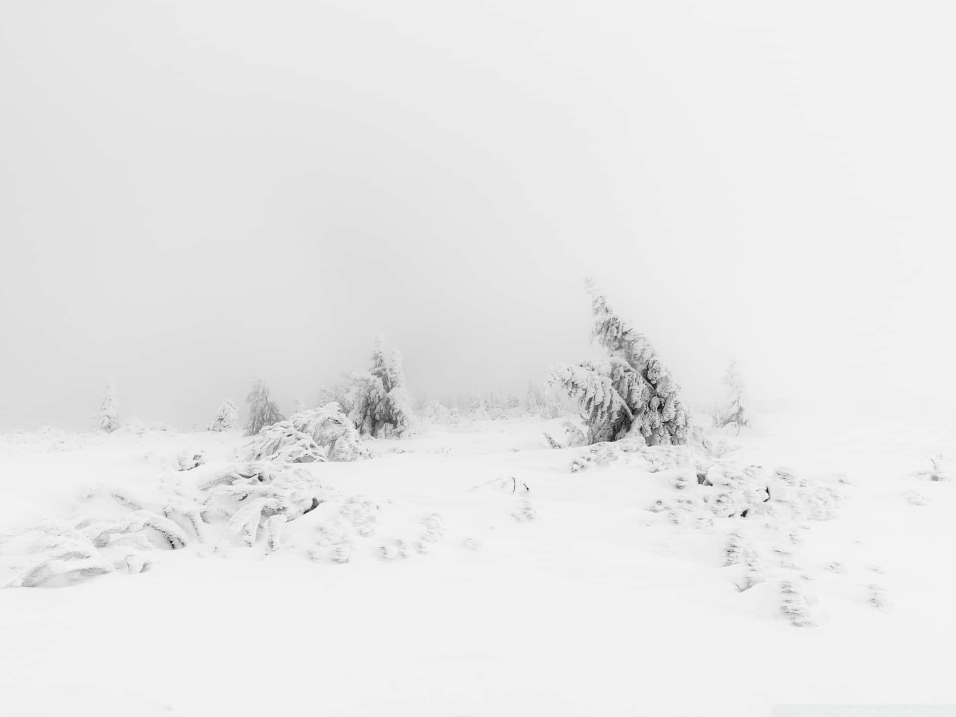 A Secluded Minimalist Winter Wallpaper