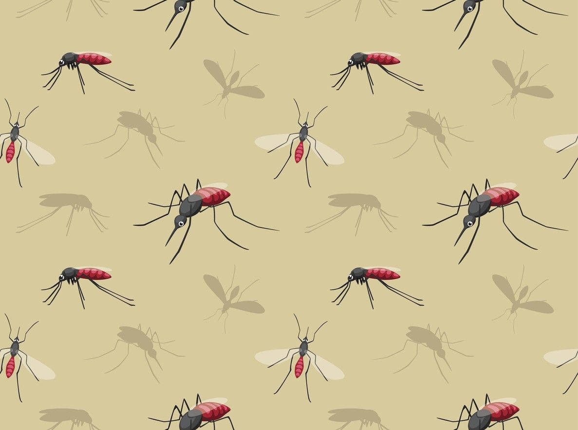 Minimalistic Cartoon Mosquito Wallpaper Wallpaper