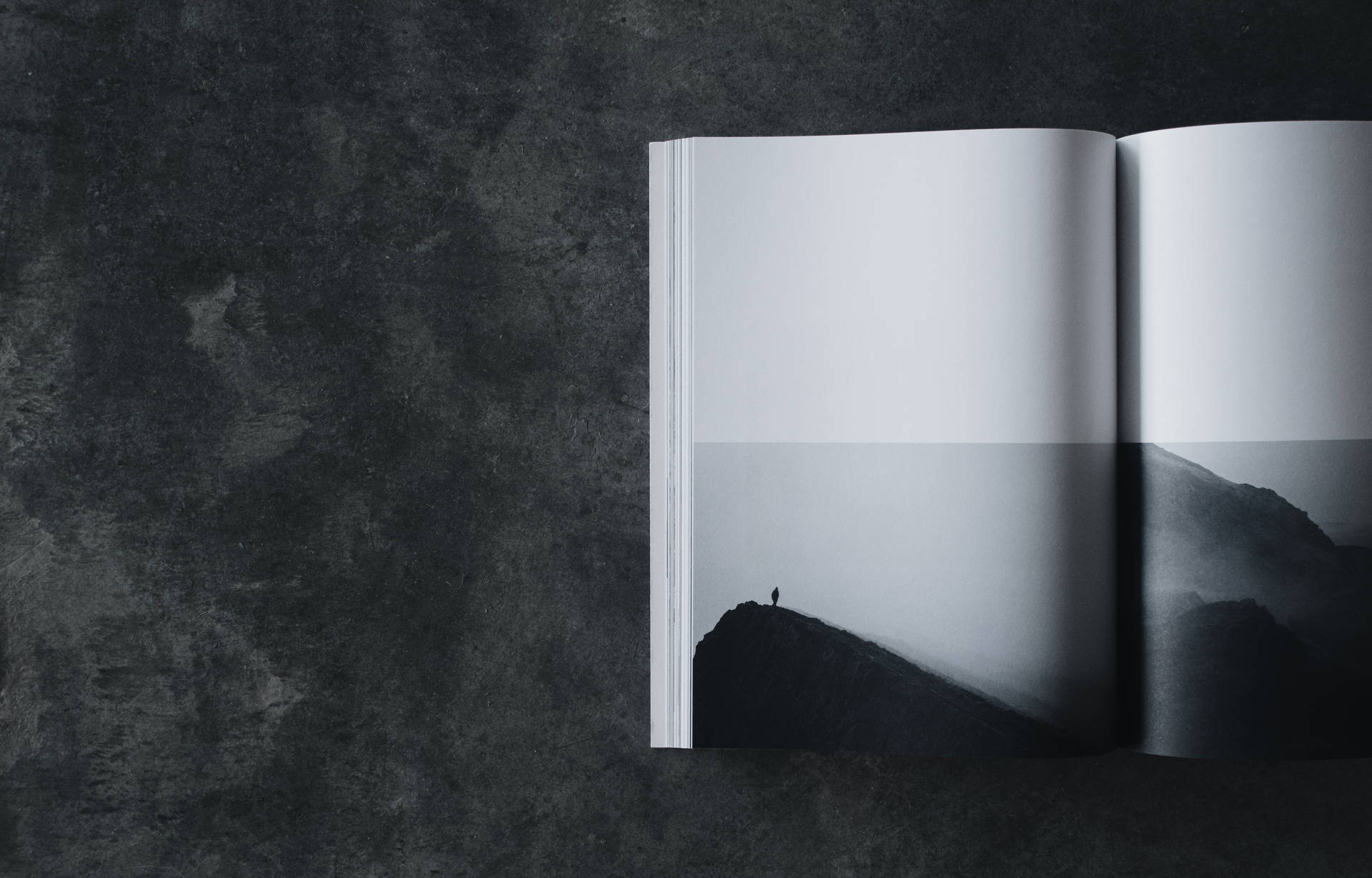 Minimalistic monochrome book with silhouette wallpaper