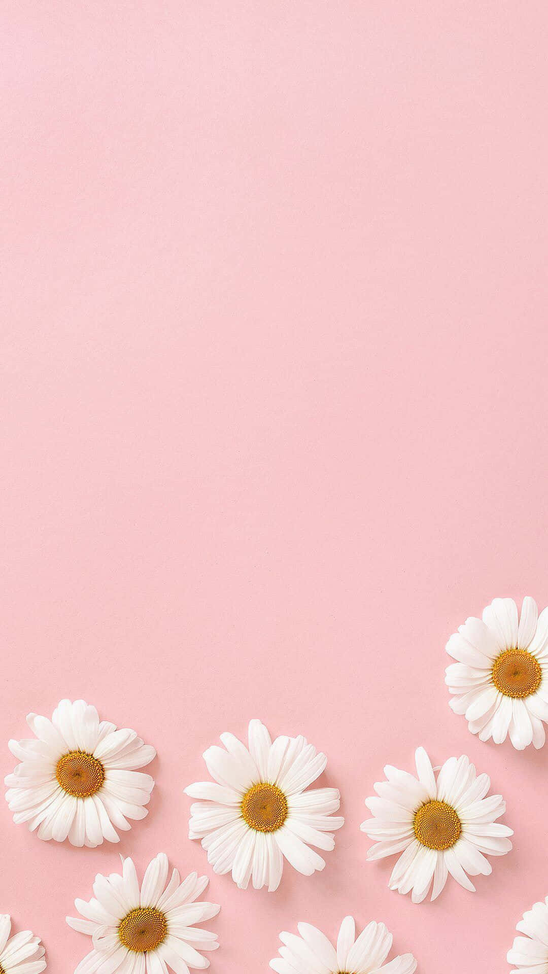 Minimalistic Pastel Pink Texture Background