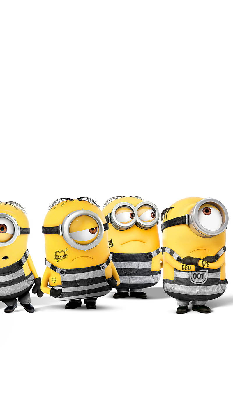 Minions In Inmates Uniform Despicable Me 3 Background