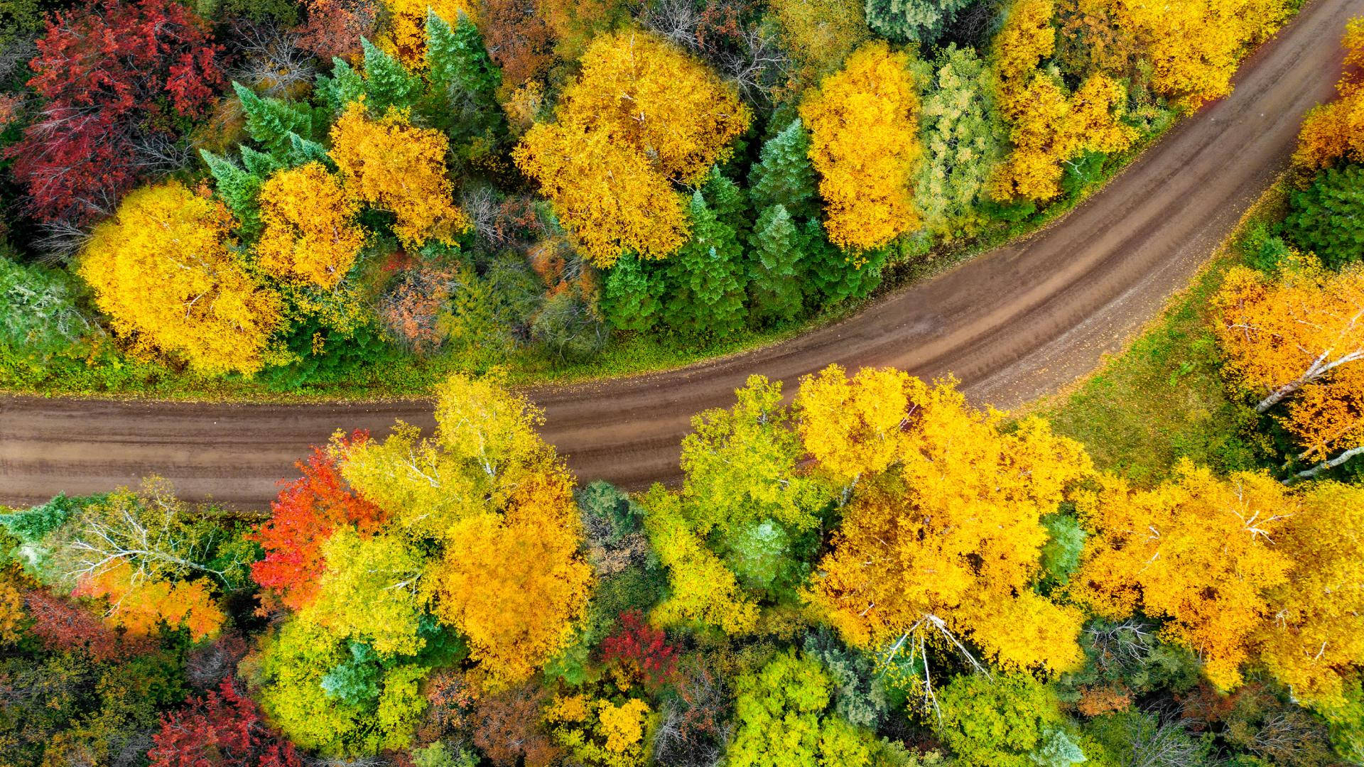 Minnesota In Autumn Season Wallpaper
