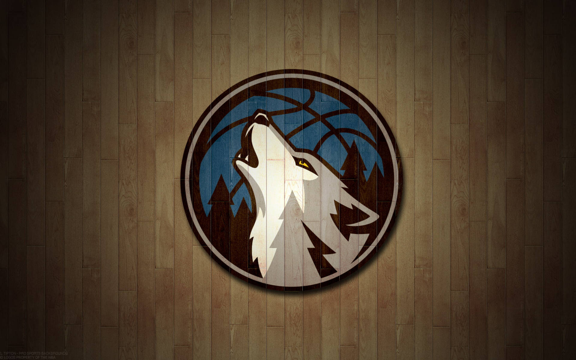Minnesota Timberwolves Logo On Basketball Floor