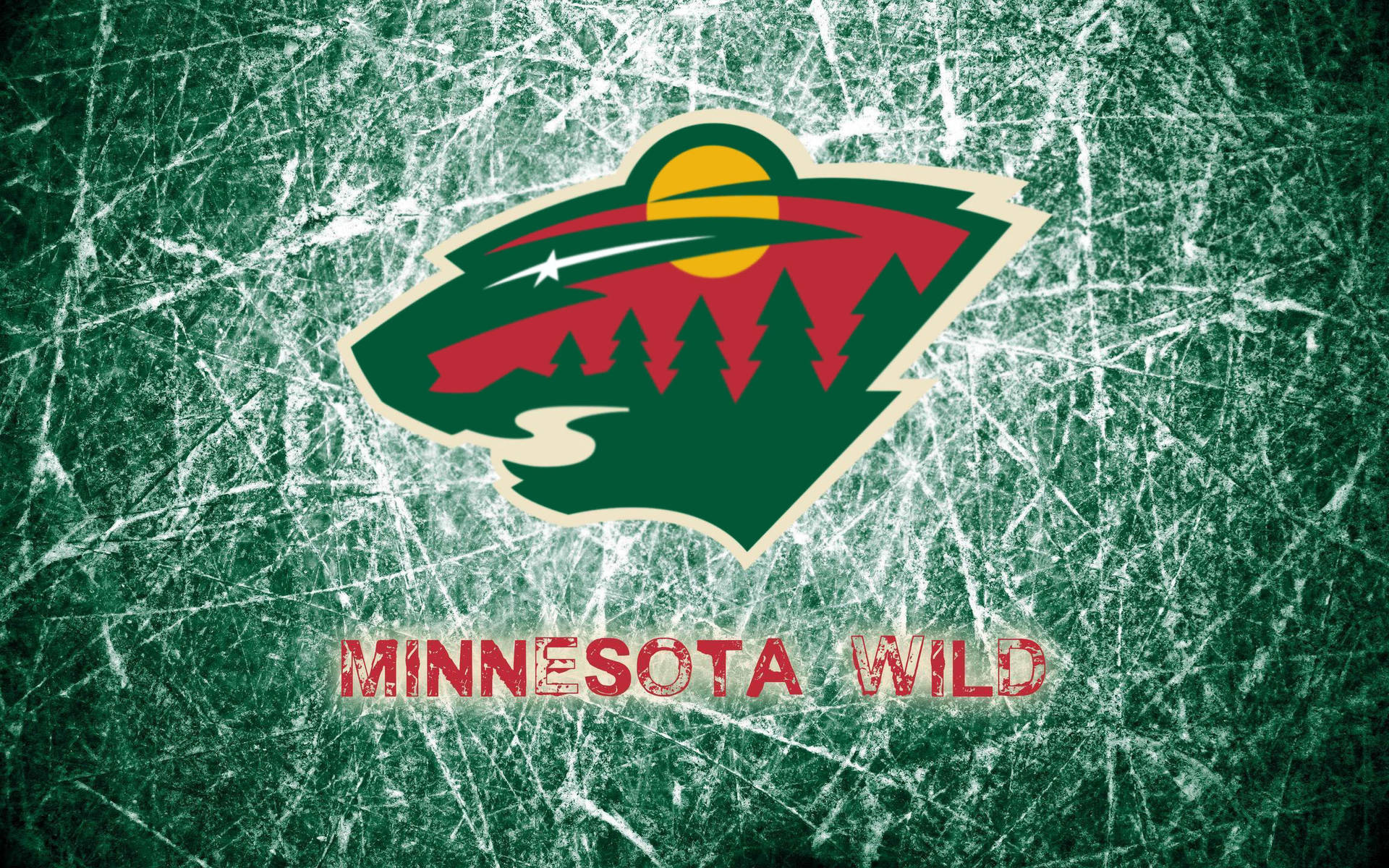 Minnesota Wild Green Rink